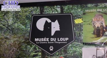 BẢO TÀNG SÓI ĐỘC NHẤT TẠI PHÁP