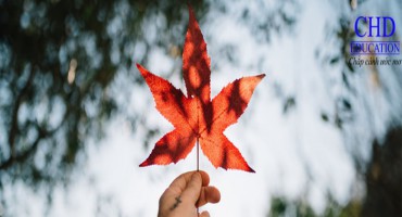 CÁC KĨ NĂNG CẦN THIẾT CHO HÀNH TRÌNH DU HỌC