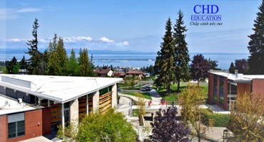 Cao đẳng cộng đồng Green River College: Học chất lượng với chi phí thấp