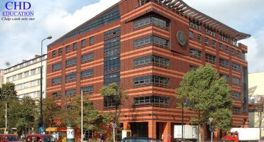 Cử nhân kinh doanh quốc tế Đại học kinh tế Warsaw