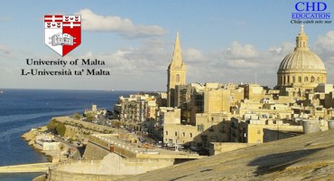 CỬ NHÂN KINH TẾ TẠI ĐẠI HỌC MALTA