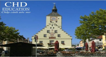 Cử nhân ngành quản trị kinh doanh tại học viện công nghệ Deggendorf (DIT)