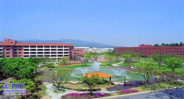 Daegu Catholic University – Trường Code Visa Top 1%