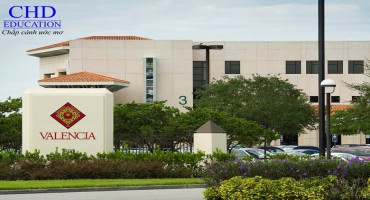 Đại học Valencia - Top 5 Đại học Tốt nhất & Rẻ nhất tại Tây Ban Nha