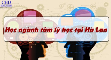 DANH SÁCH CÁC TRƯỜNG ĐẠI HỌC Ở HÀ LAN CÓ NGÀNH TÂM LÝ HỌC