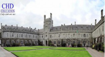 Du học Áo - Khoa quản trị kinh doanh trường Đại học Danube Krems