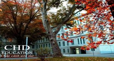 Du học Áo ngành y cùng trường Đại học Y Vienna