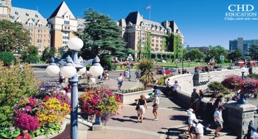 Du học Canada – Những điều bạn chưa biết về đất nước Canada