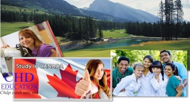 Du học Canada - Trường cao đẳng North Island