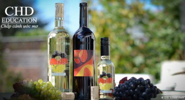 Du học Đức - Lý do khiến du khách phải lòng nước Đức