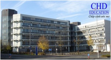 Du học Đức ngành ngôn ngữ và văn học Đức tại đại học Münster