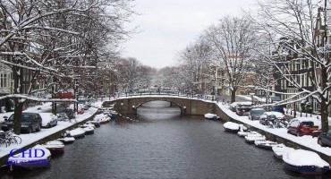 Du học Hà Lan giá rẻ và tận hưởng hương sắc 4 mùa