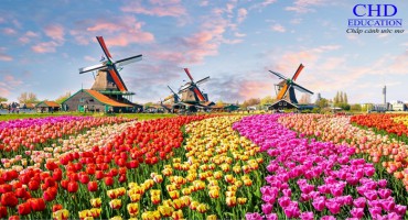 DU HỌC HÀ LAN – VÙNG ĐẤT ĐẦY TRIỂN VỌNG