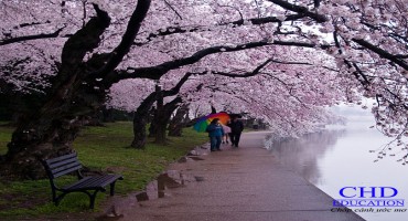 Du học Hàn Quốc - Hương sắc bốn mùa Hàn Quốc