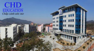 Du học Hàn Quốc nên chọn học ngành gì ?