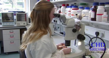 Du Học Hàn Quốc Ngành Dược