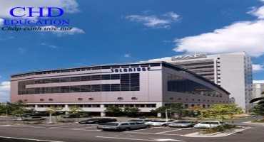 Du học Hàn Quốc với trường Solbridge cùng học bổng chương trình tiếng Anh