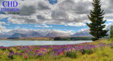 10 lý do tuyệt vời để đến New Zealand