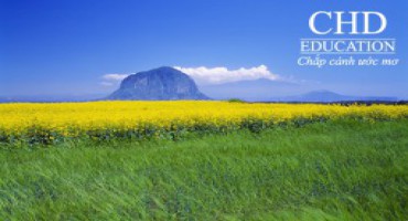 DU HỌC NEW ZEALAND CÓ TỐT KHÔNG ?