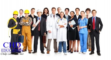 DU HỌC NEW ZEALAND NÊN HỌC NGÀNH GÌ?