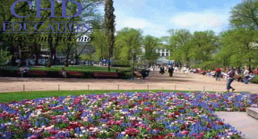 Du học Phần Lan - Miễn phí 100% học thạc sỹ