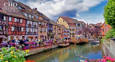 Du học Pháp chiêm ngưỡng con đường rượu vang vùng Alsace