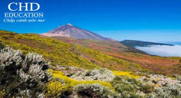 Du Học Tây Ban Nha Tìm Hiểu Về Đại Học Politécnica de Cartagena