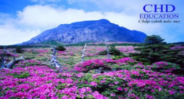 Du học Úc – Học viện Phoenix