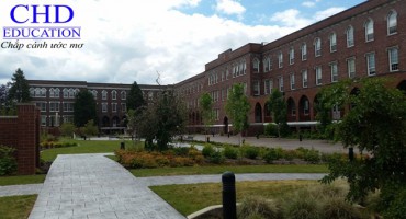 Giấc mơ du học châu Âu không khó vì đã có trường Saint Martin’s Institute of Higher Education