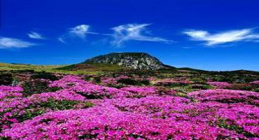 Hàn Quốc - miền đất với  những điều kỳ diệu