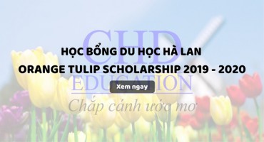 HỌC BỔNG DU HỌC HÀ LAN ORANGE TULIP SCHOLARSHIP 2019 - 2020