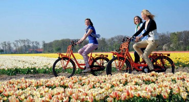 HỌC PHÍ CÁC TRƯỜNG TẠI CANADA