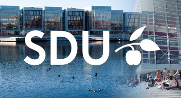 Học Thạc sĩ ngành Quản trị nguồn nhân lực - Đại học Bắc Đan Mạch