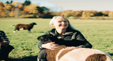 Khám phá Đan Mạch – Đất nước hạnh phúc nhất thế giới