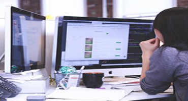 Lên kế hoạch làm việc ở New Zealand 2017