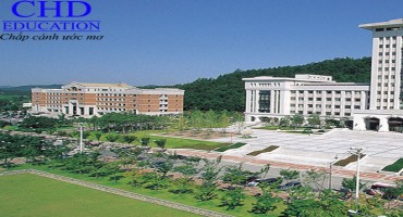 Nên chọn ngành gì khi du học Hàn Quốc?