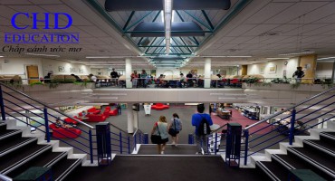 New Zealand – “Thiên đường” học tập của du học sinh