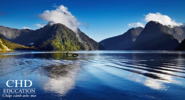 NGÀNH HỌC TIỀM NĂNG Ở NEW ZEALAND