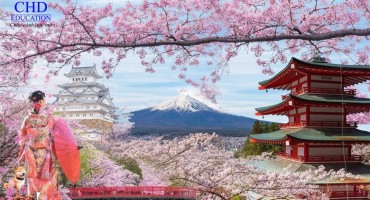 NHỮNG LỄ HỘI ĐỘC ĐÁO KHÔNG THỂ BỎ LỠ Ở NHẬT BẢN