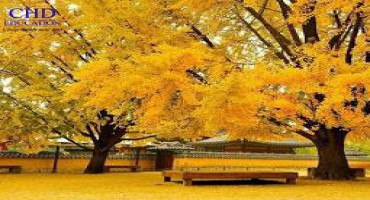 Những tụ điểm vui chơi của du học sinh Hàn Quốc