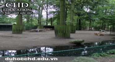 Planckendael - Vườn thú nổi tiếng của thủ đô Brussels, Bỉ