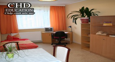 Sống chung hay sống một mình tại Đức?