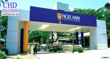 Study in Singapore: Singapore Tourism Management Institute - TMIS