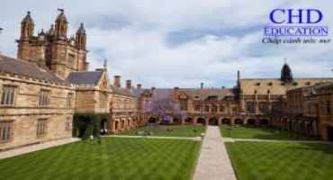 THEO HỌC NGÀNH GÌ ĐỂ CÓ THU NHẬP 10,000$/THÁNG ?