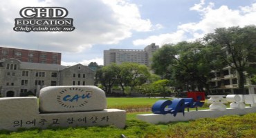 Tìm hiểu chương trình chuyển tiếp tại Hàn Quốc