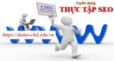 Tuyển Dụng Thực Tập  Seo 2017