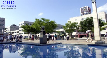 Vị Trí Các Trường Đại Học Hàn Quốc Trên Bảng Xếp Hạng Đại Học Chất Lượng Thế Giới Của QS