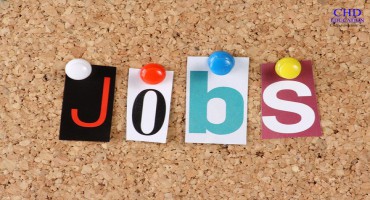 Việc Làm Thêm Tại Hà Lan Dành Cho Du Học Sinh