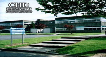 Viện công nghệ Carlow