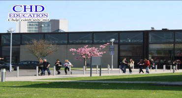 Viện công nghệ Dundalk